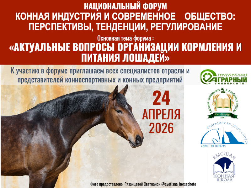 КОННАЯ ИНДУСТРИЯ И СОВРЕМЕННОЕ ОБЩЕСТВО: ПЕРСПЕКТИВЫ, ТЕНДЕНЦИИ, РЕГУЛИРОВАНИЕ