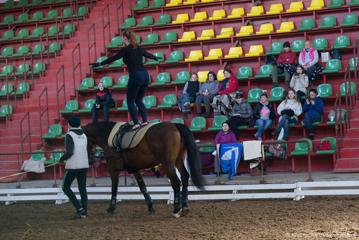 Подготовка лошади и спортсмена в вольтижировке