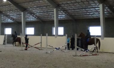 Подготовка лошади и всадника в конкуре