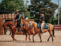 Приглашаем 01-02 июня на семинар тренеров, спортсменов, частных владельцев и заинтересованных лиц: «ВЕСТЕРН-ДИСЦИПЛИНЫ В РОССИИ»