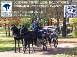 Приглашаем 16-17 апреля тренеров, спортсменов, частных владельцев и заинтересованных лиц: «ОСНОВНЫЕ ПРИНЦИПЫ ПОДГОТОВКИ ЛОШАДИ К УПРЯЖИ»