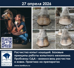 Приглашаем 27 апреля на курс: "Расчистка копыт лошадей. Базовые принципы работы копытного механизма. Проблемы ОДА – взаимосвязь расчистки и ковки. Практика на препаратах"