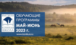 Образовательные программы в мае и июне 2023 года
