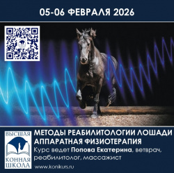 Приглашаем 05-06 февраля 2026 года на курс: "МЕТОДЫ РЕАБИЛИТОЛОГИИ ЛОШАДИ. АППАРАТНАЯ ФИЗИОТЕРАПИЯ"