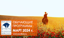 Приглашаем на образовательные программы марта!