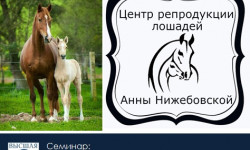 РЕПРОДУКЦИЯ ЛОШАДЕЙ. АКТУАЛЬНЫЕ ВОПРОСЫ
