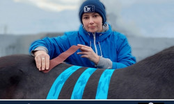 КИНЕЗИОЛОГИЧЕСКОЕ ТЕЙПИРОВАНИЕ ЛОШАДЕЙ