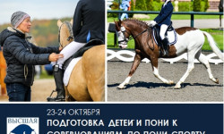 Онлайн-курс ПОДГОТОВКА ДЕТЕЙ НА ПОНИ К СОРЕВНОВАНИЯМ ПО ПОНИ-СПОРТУ. ОСОБЕННОСТИ РАБОТЫ С ПАРОЙ ВСАДНИК-ПОНИ