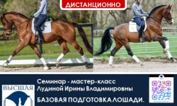 Приглашаем 13-16 октября на семинар: "Базовая подготовка лошади. Корректировка лошади в работе путем упражнений и гимнастики. Работа над посадкой всадника"