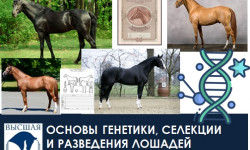 «Основы генетики, селекции и разведения лошадей»
