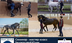Приглашаем 01-02 ноября на курс: ПРИНЦИПЫ КЛАССИЧЕСКОЙ ВЫЕЗДКИ. РАБОТА С ЛОШАДЬЮ «В РУКА