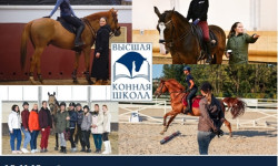 Приглашаем на ОСЕННИЙ БЛОК он-лайн курсов по кавалетти и конкуру!!!