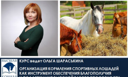 17-18 ноября 2025 года  «Организация кормления и содержания спортивных лошадей как инструмент обеспечения благополучия и поддержания высокой работоспособности».