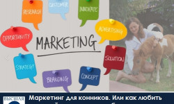 Приглашаем 20 ноября 2025 г. на курс: "Маркетинг для конников. Или как любить лошадей, но все же зарабатывать"!