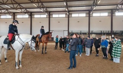 Приглашаем на курсы для тренеров конных клубов: "ТРЕНИНГ ЛОШАДЕЙ, ПОДГОТОВКА ВСАДНИКОВ"