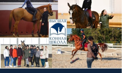 Приглашаем на ОСЕННИЙ БЛОК он-лайн курсов по кавалетти и конкуру!!!