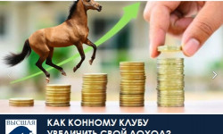 Приглашаем 21 ноября 2025 г. на курс: "Как конному клуб увеличить свой доход?"