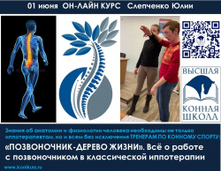 Приглашаем 01 июня на ОНЛАЙН-КУРС: "ПОЗВОНОЧНИК-ДРЕВО ЖИЗНИ"