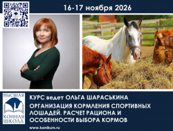 Организация кормления спортивных лошадей̆. Расчет рациона и особенности выбора кормов