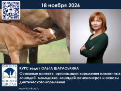 Основные аспекты организации кормления племенных лошадей, молодняка, лошадей-пенсионеров и основы диетического кормления