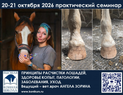Приглашаем 20-21 октября на практический семинар: ПРИНЦИПЫ РАСЧИСТКИ ЛОШАДЕЙ, ЗДОРОВЬЕ КОПЫТ, ПАТОЛОГИИ, ЗАБОЛЕВАНИЯ, УХОД