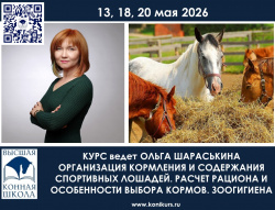 13,18,20 мая 2026 года пройдет курс «Организация кормления содержания спортивных лошадей. Расчет рациона и особенности выбора кормов. Зоогигиена»